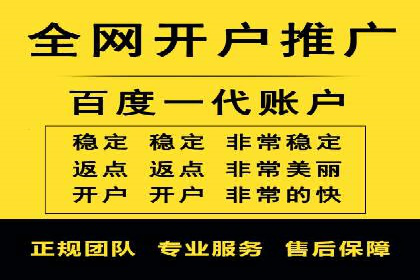 SEM广告案例：数据分析驱动营销决策